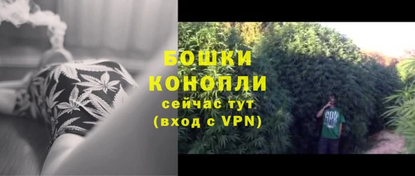 ешки Богородск