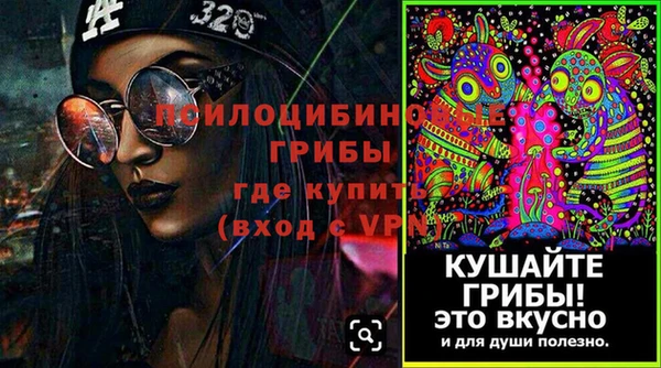 ешки Богородск