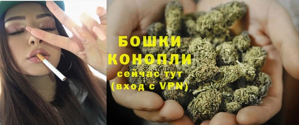 бутират Богданович