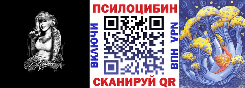 где купить наркоту  Котово  Псилоцибиновые грибы Cubensis 