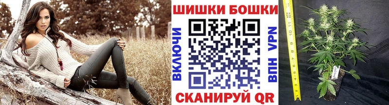 Каннабис план  Котово 